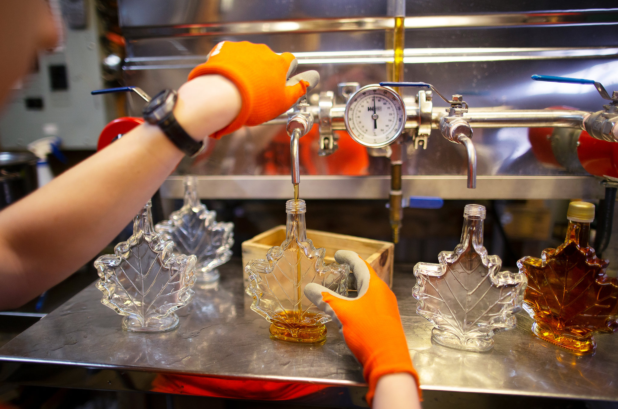 Image of maple syrup production. Some person pours syrup in orange gloves (for about page)